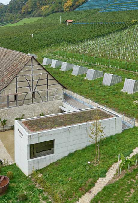 Osterfingen'de VELUX çatı pencereleriyle şaraphane genişletme projesi